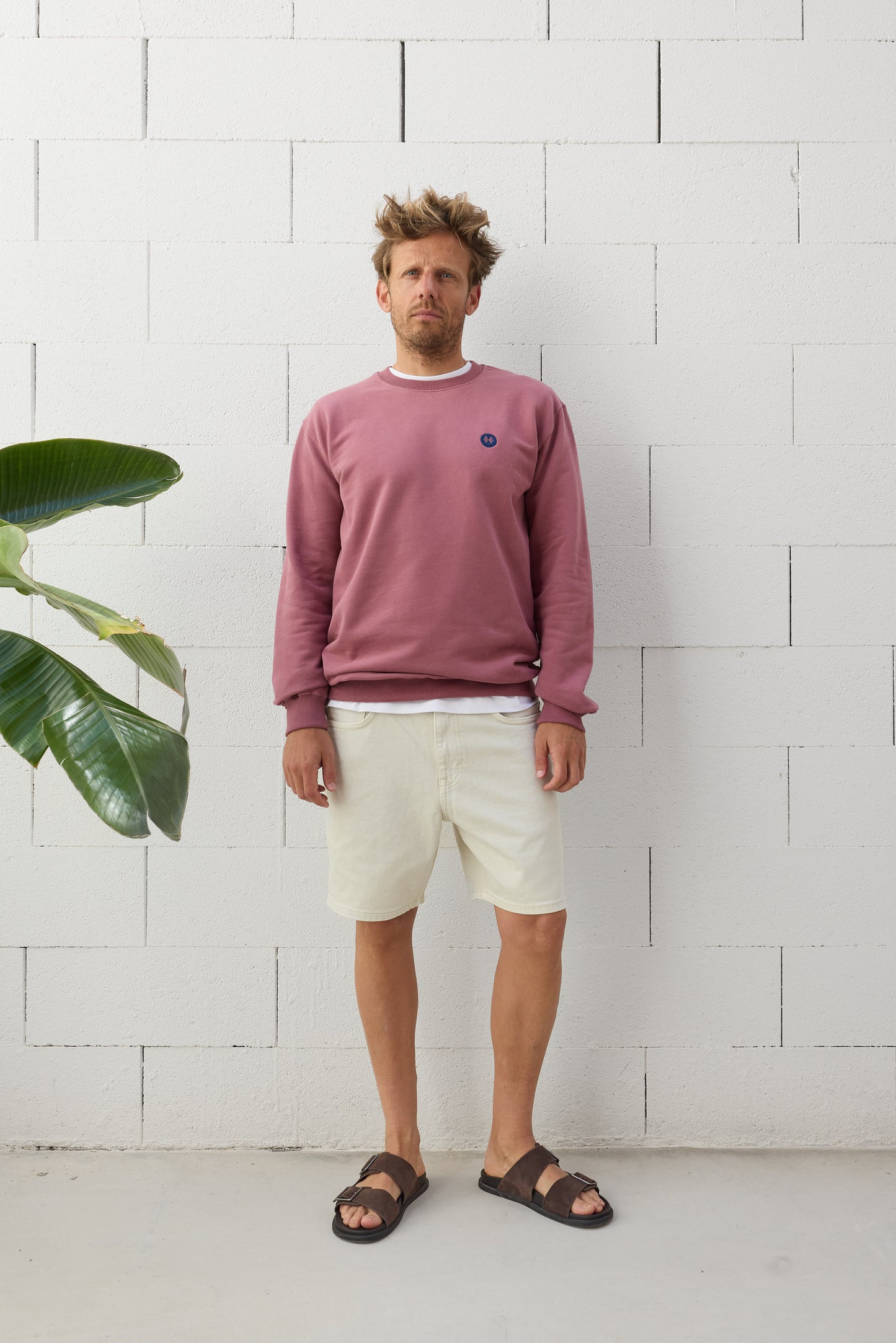 Sudadera Regular Fit Burdeos Empolvado