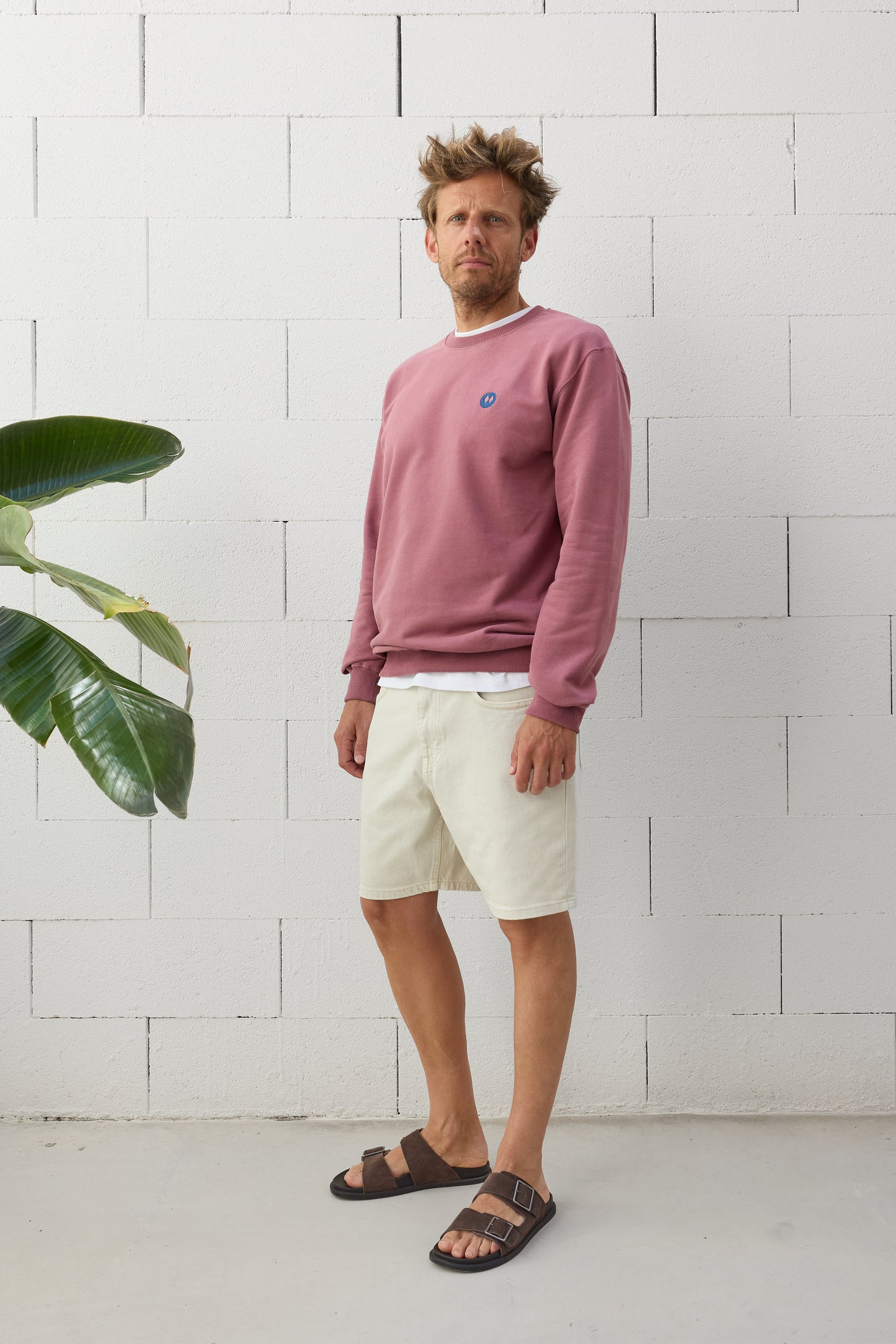 Sudadera Regular Fit Burdeos Empolvado