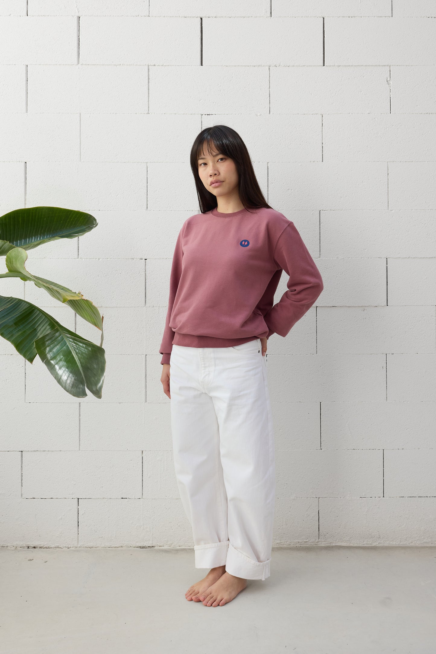 Sudadera Regular Fit - Burdeos Empolvado